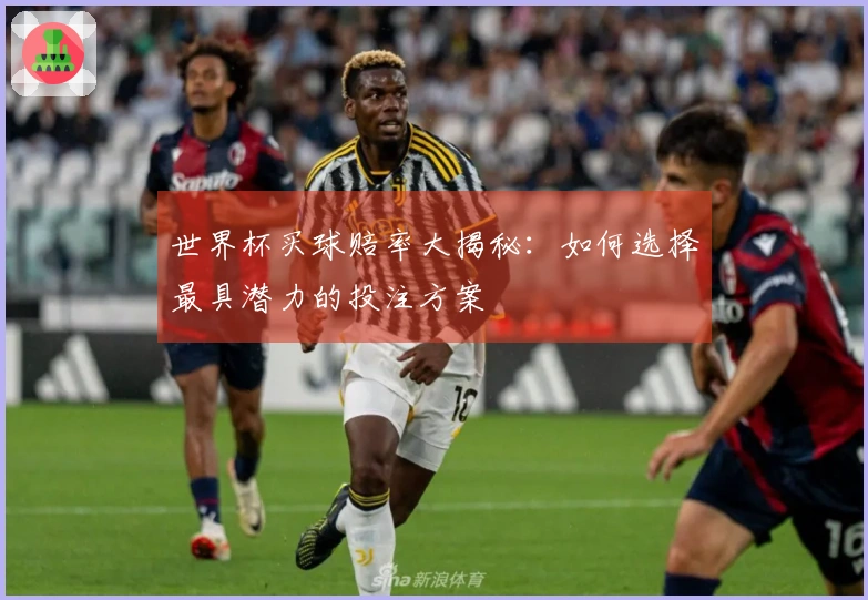 世界杯买球赔率大揭秘：如何选择最具潜力的投注方案