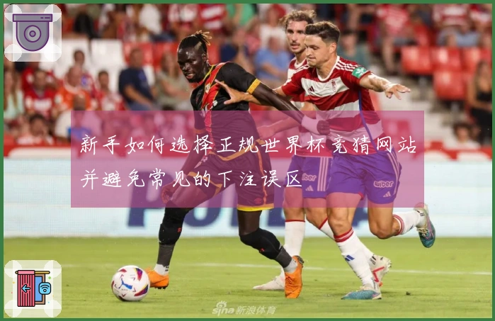 新手如何选择正规世界杯竞猜网站并避免常见的下注误区