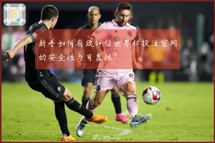 新手如何有效评估世界杯投注官网的安全性与可靠性？