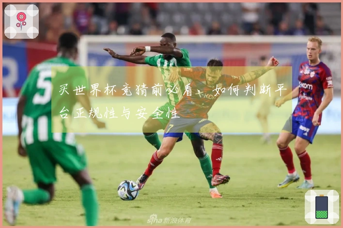 买世界杯竞猜前必看，如何判断平台正规性与安全性