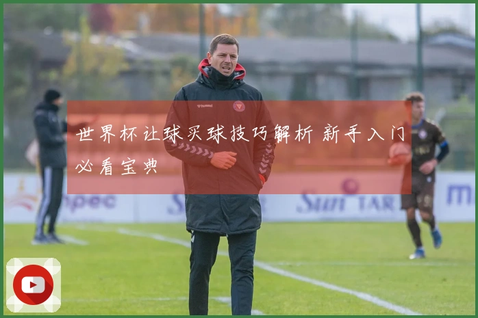 世界杯让球买球技巧解析 新手入门必看宝典
