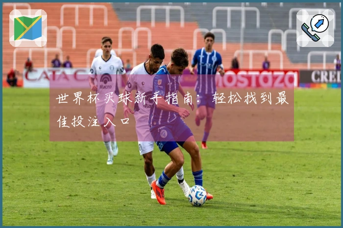 世界杯买球新手指南：轻松找到最佳投注入口