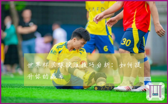 世界杯买球投注技巧分析：如何提升你的赢率